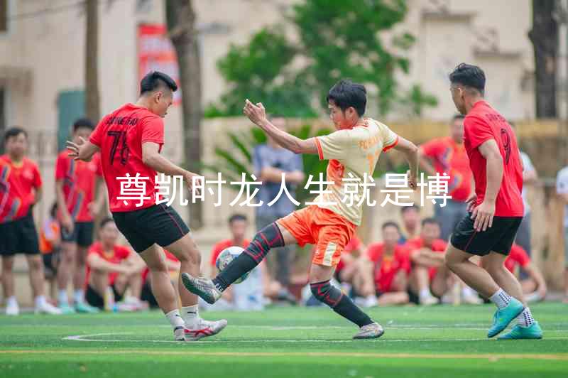 尊凯时龙人生就是博