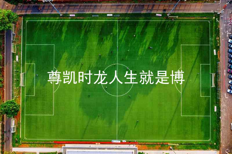 尊凯时龙人生就是博