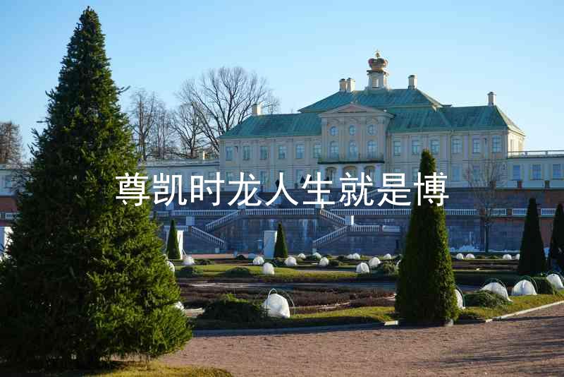 尊凯时龙人生就是博