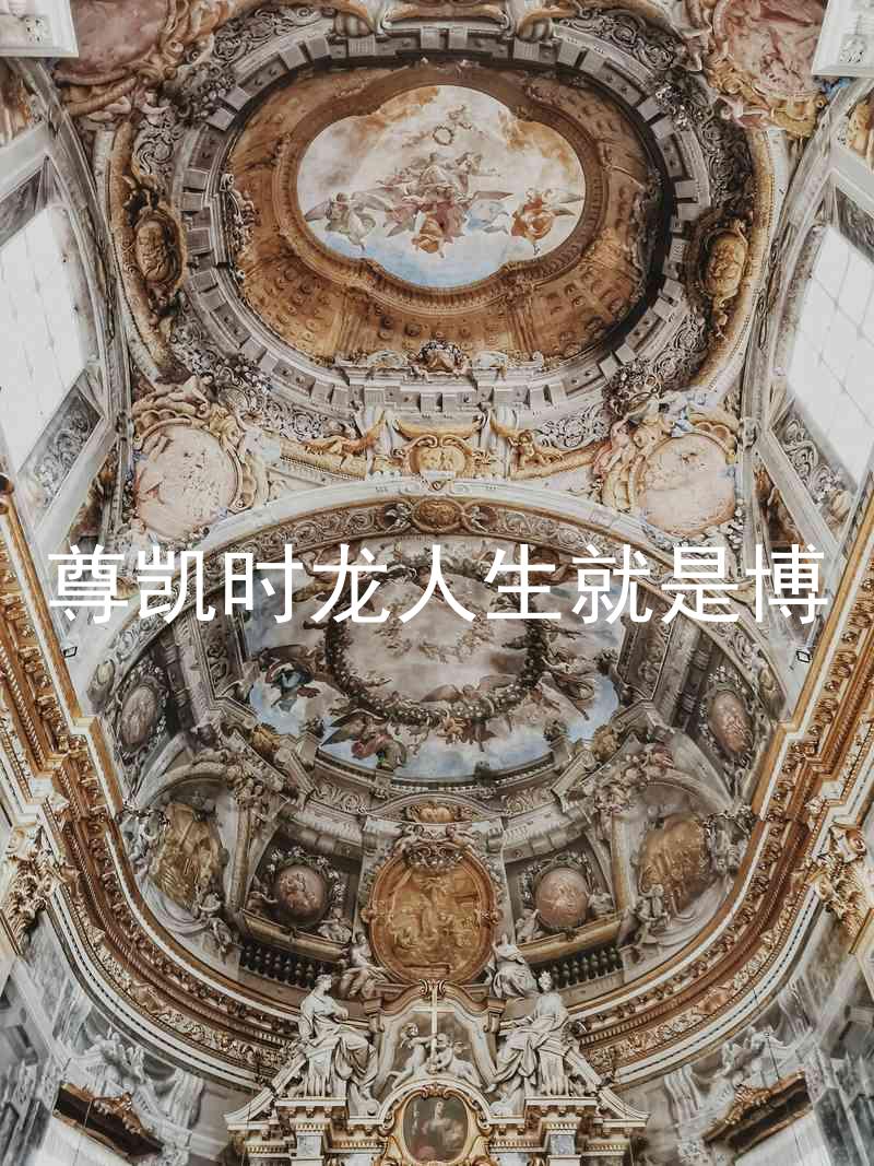 尊凯时龙人生就是博