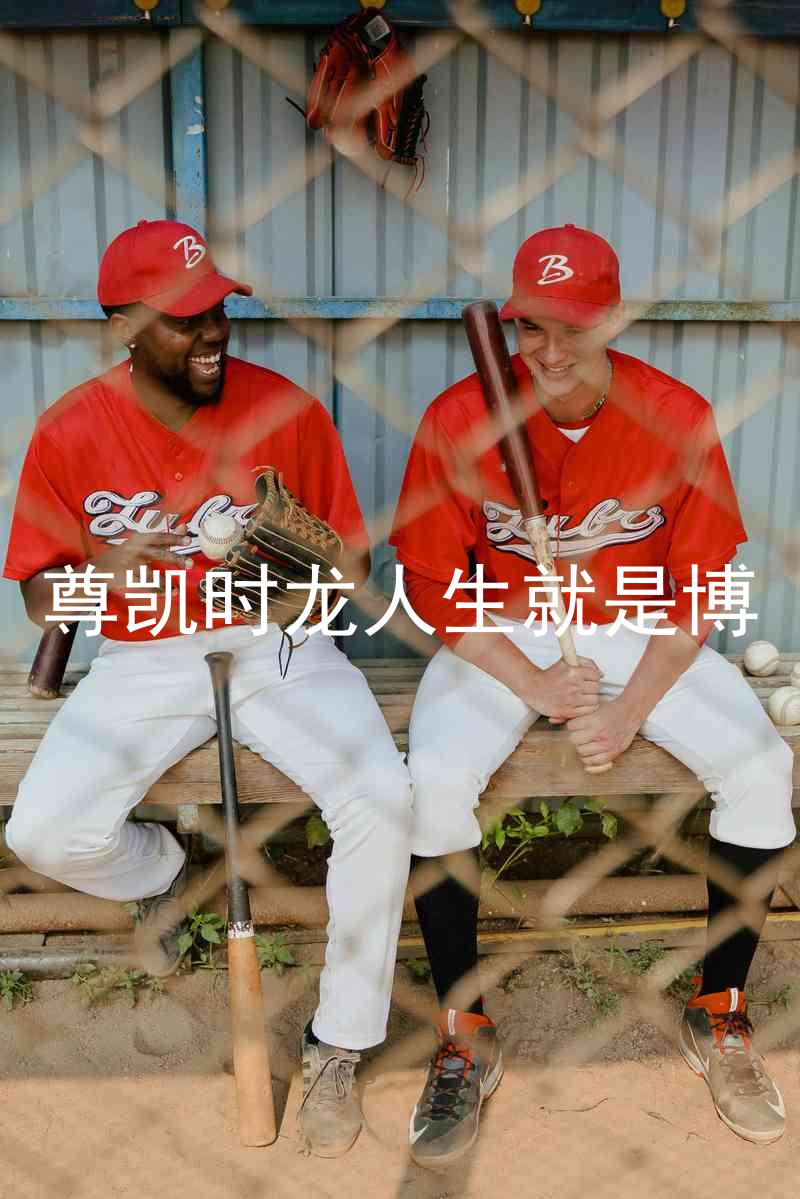尊凯时龙人生就是博