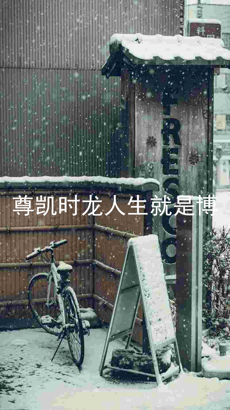 尊凯时龙人生就是博